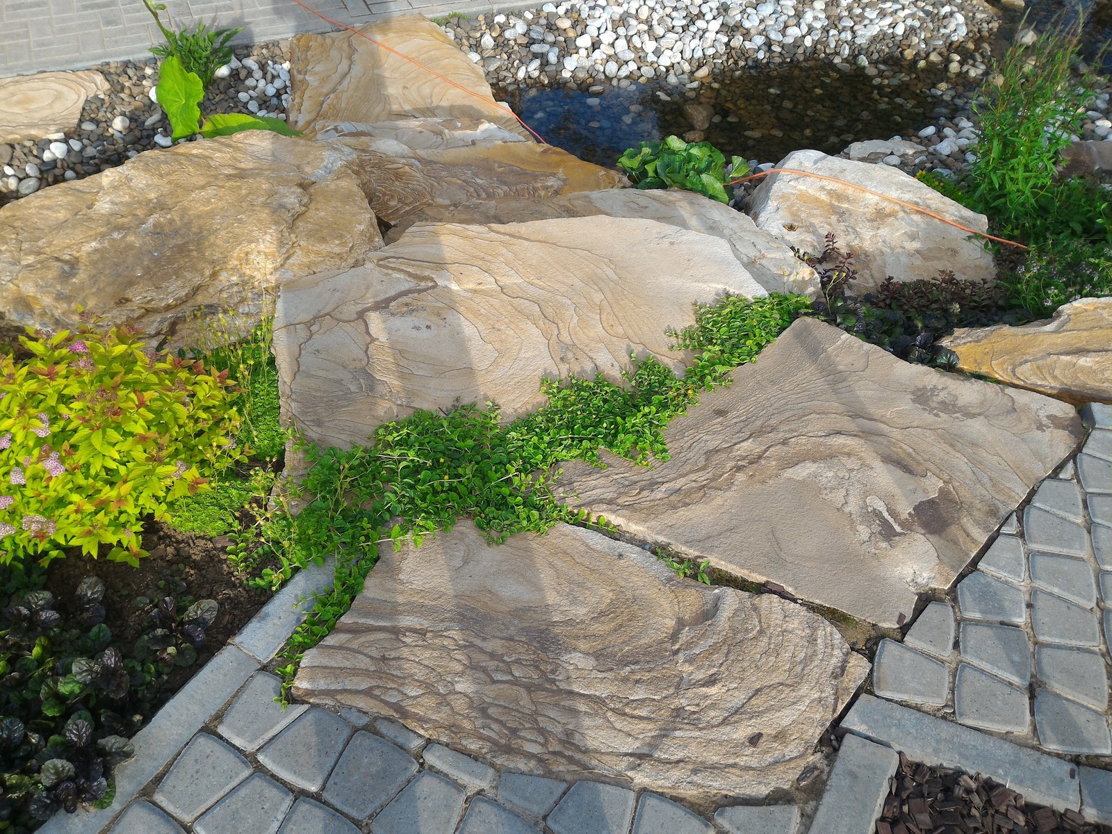 Оформление водоема.