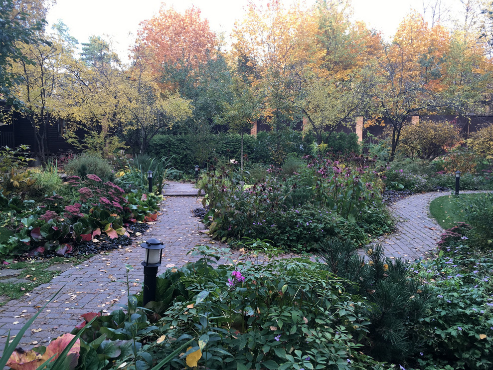 Белкин сад. Осень 2019