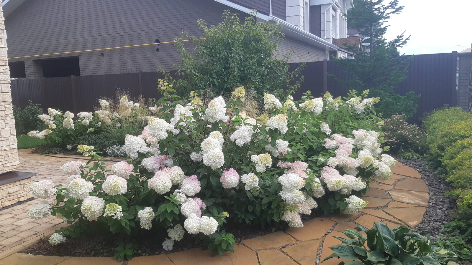 Обложка проекта: Серебрянный бор - 1