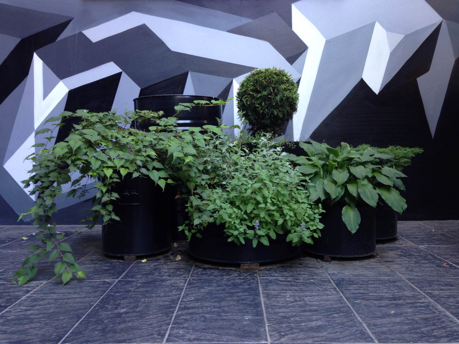 Виктория Мазуренко