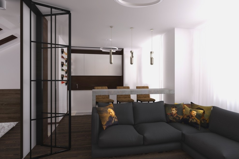 Холостяцкий дом-сарай