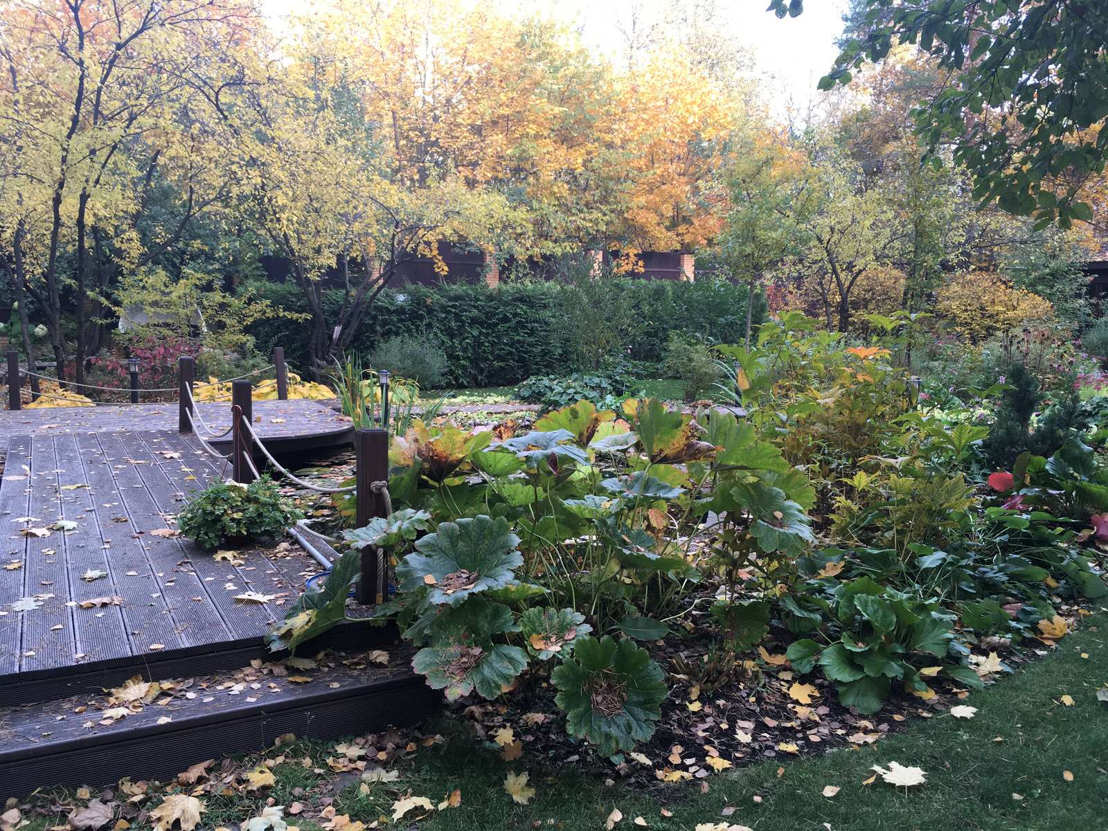 Белкин сад. Осень 2019