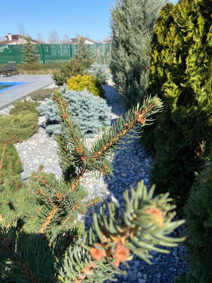 Обложка проекта: Вдохновение