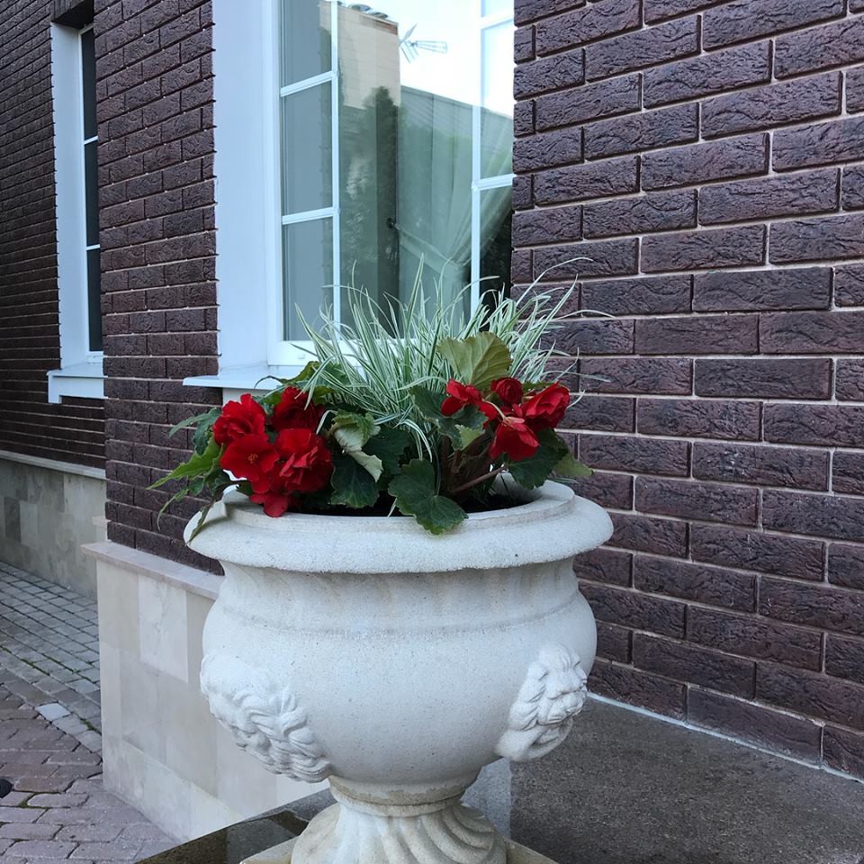 Обложка проекта: лесная рапсодия