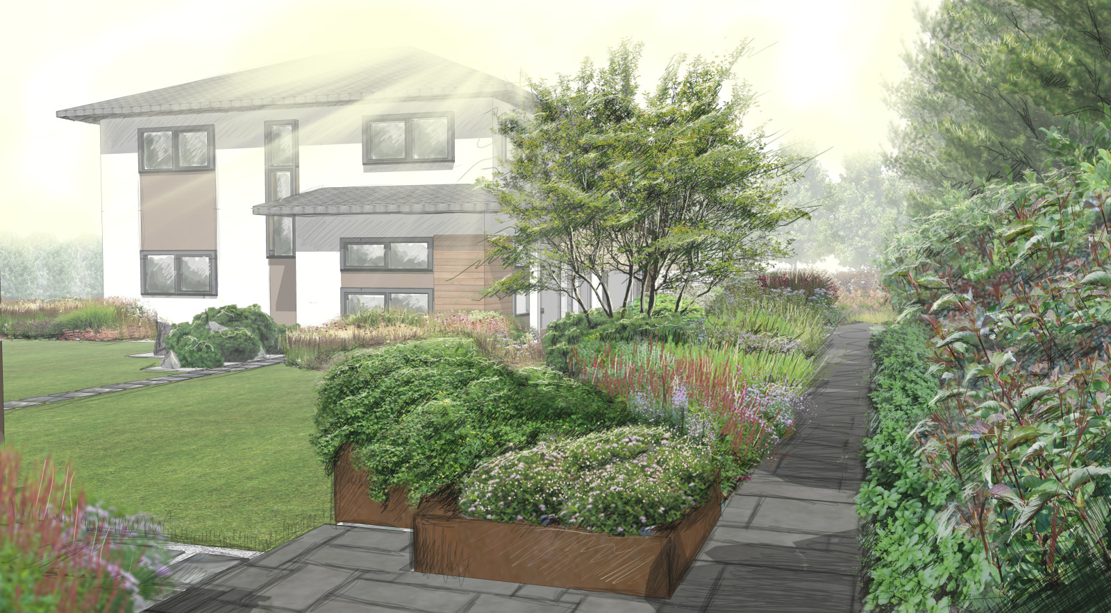 Обложка проекта: Лесная рапсодия