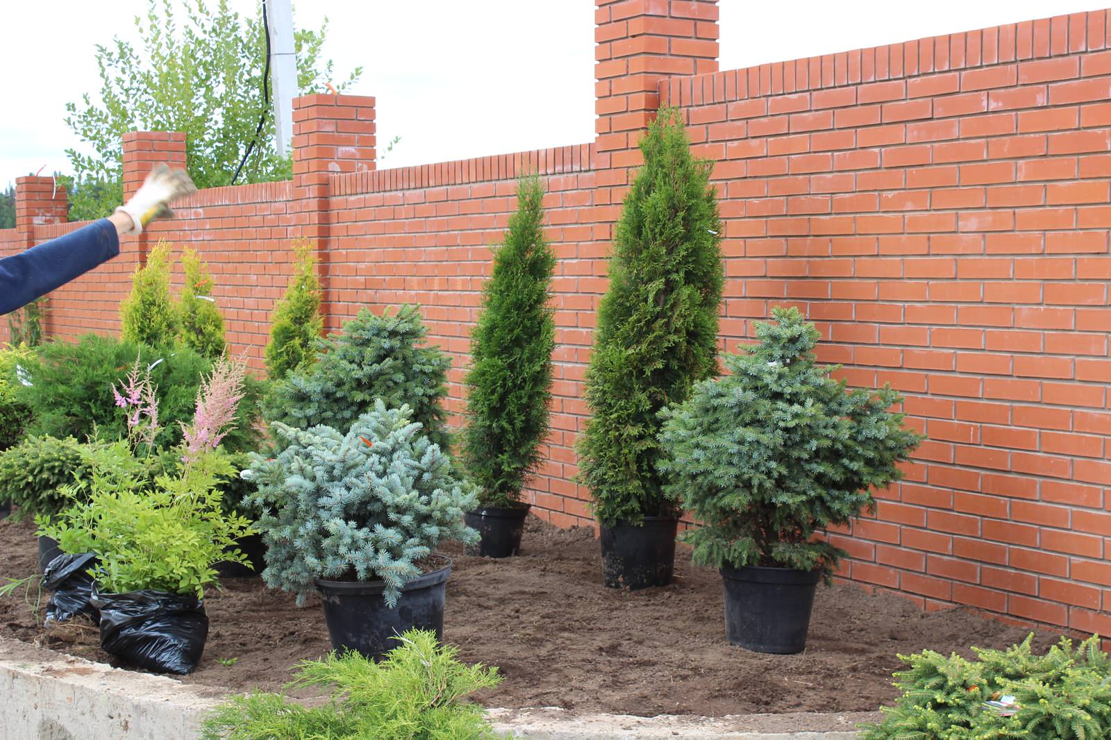 Ландшафтный дизайн участка в д. Зеленый камень (Ижевск)