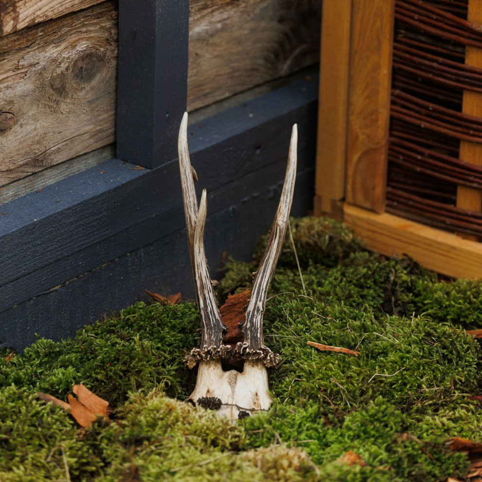 Выставочный сад Фестиваль Зелёная Комната в Калининграде "Другой сад"