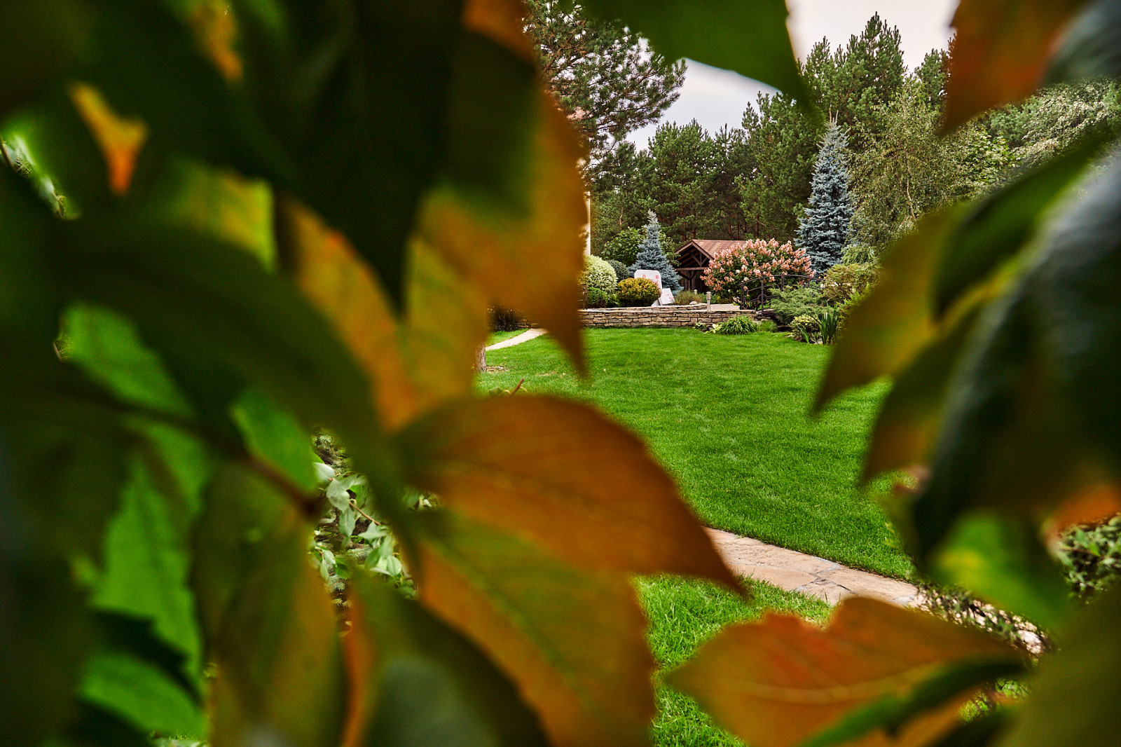 Простор и комфорт загородной жизни