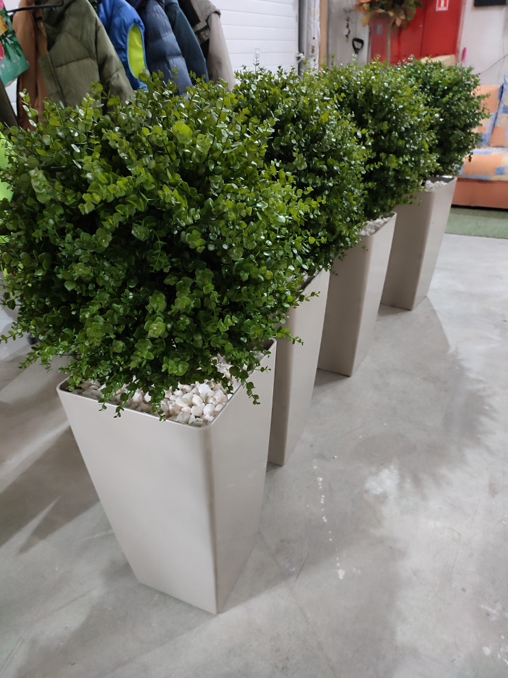 Растения для офисного пространства