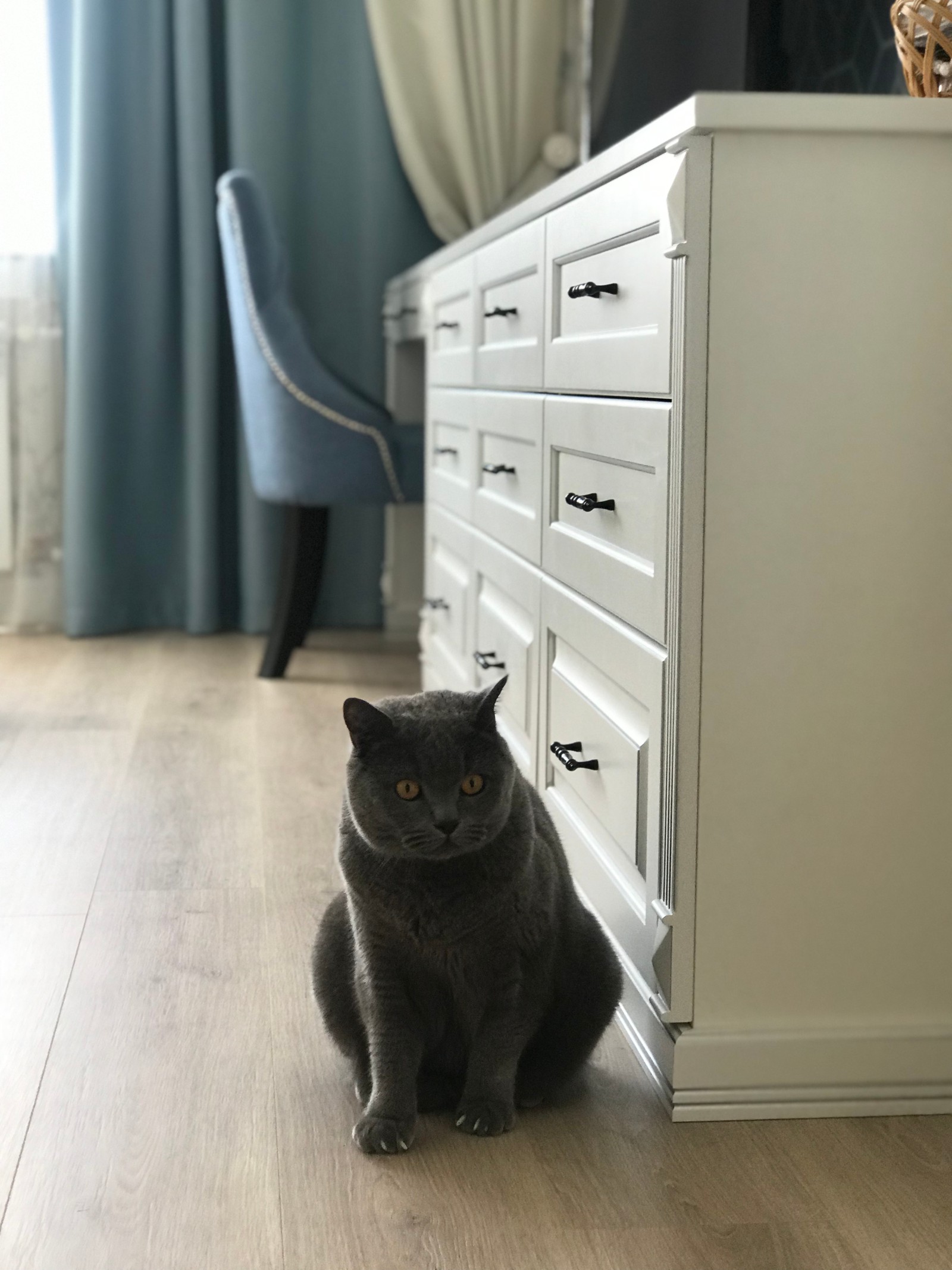 Все оттенки синего