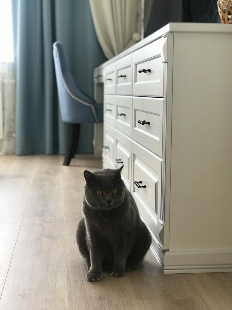 Все оттенки синего