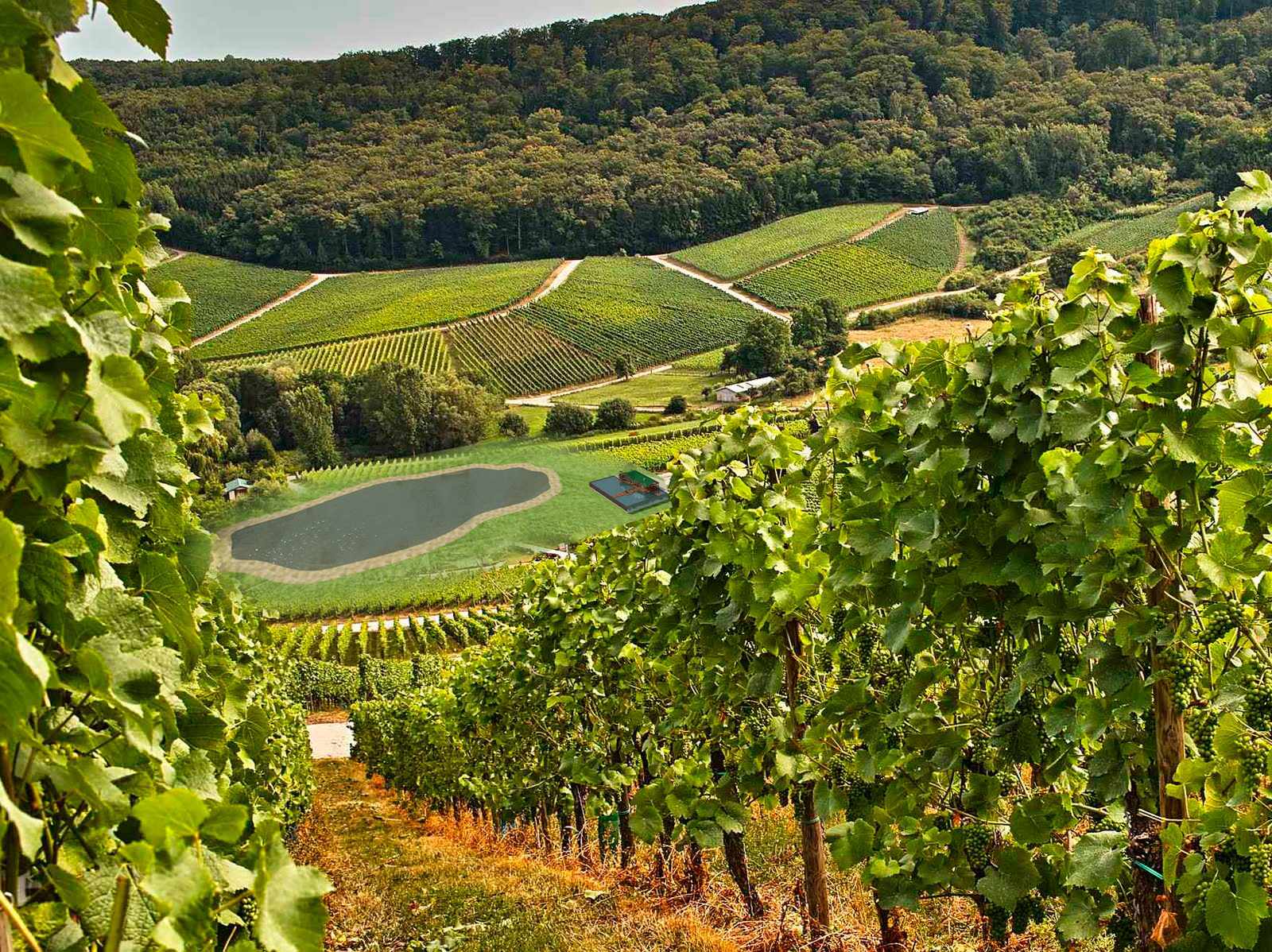 Благоустройство территории