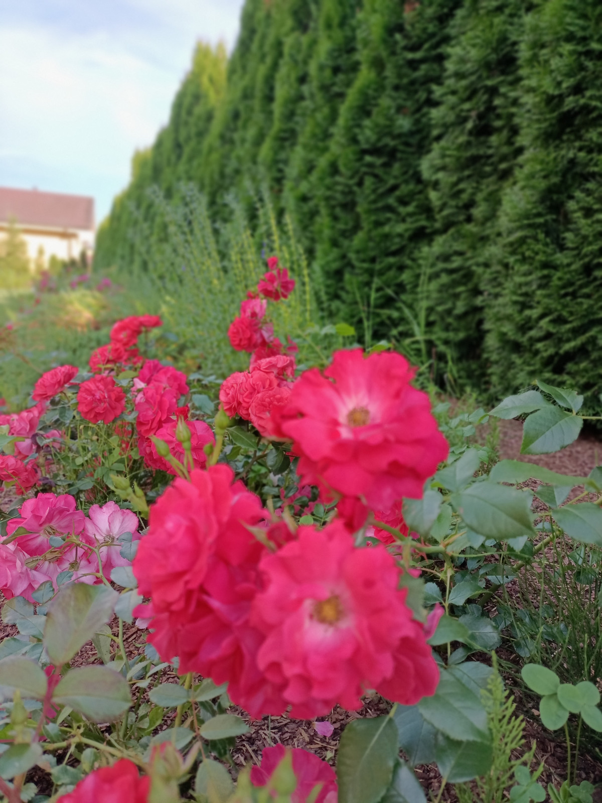 Обложка проекта: Дом в поселке Газпром