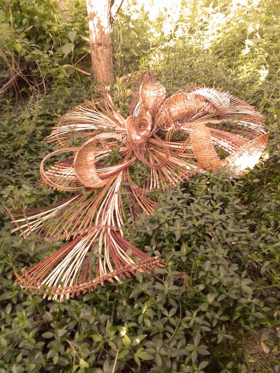 Фитофантазия 5