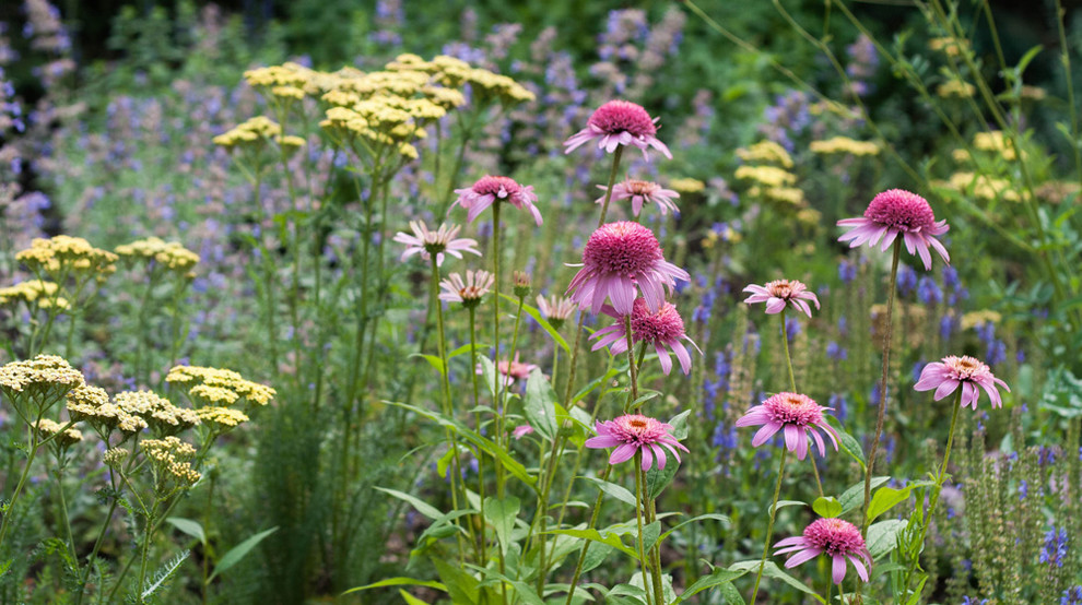 Оттенки синего