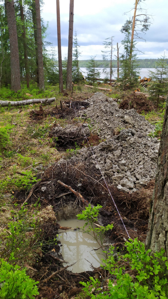 Лесная Ривьера