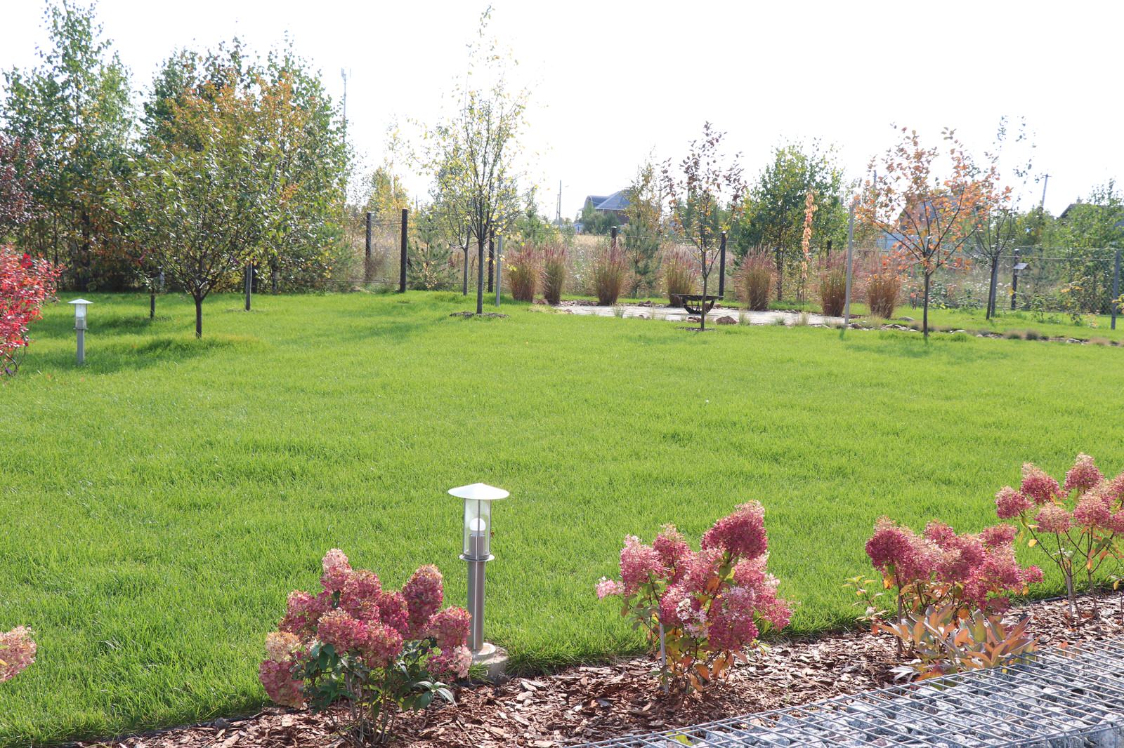 Обложка проекта: Голицино