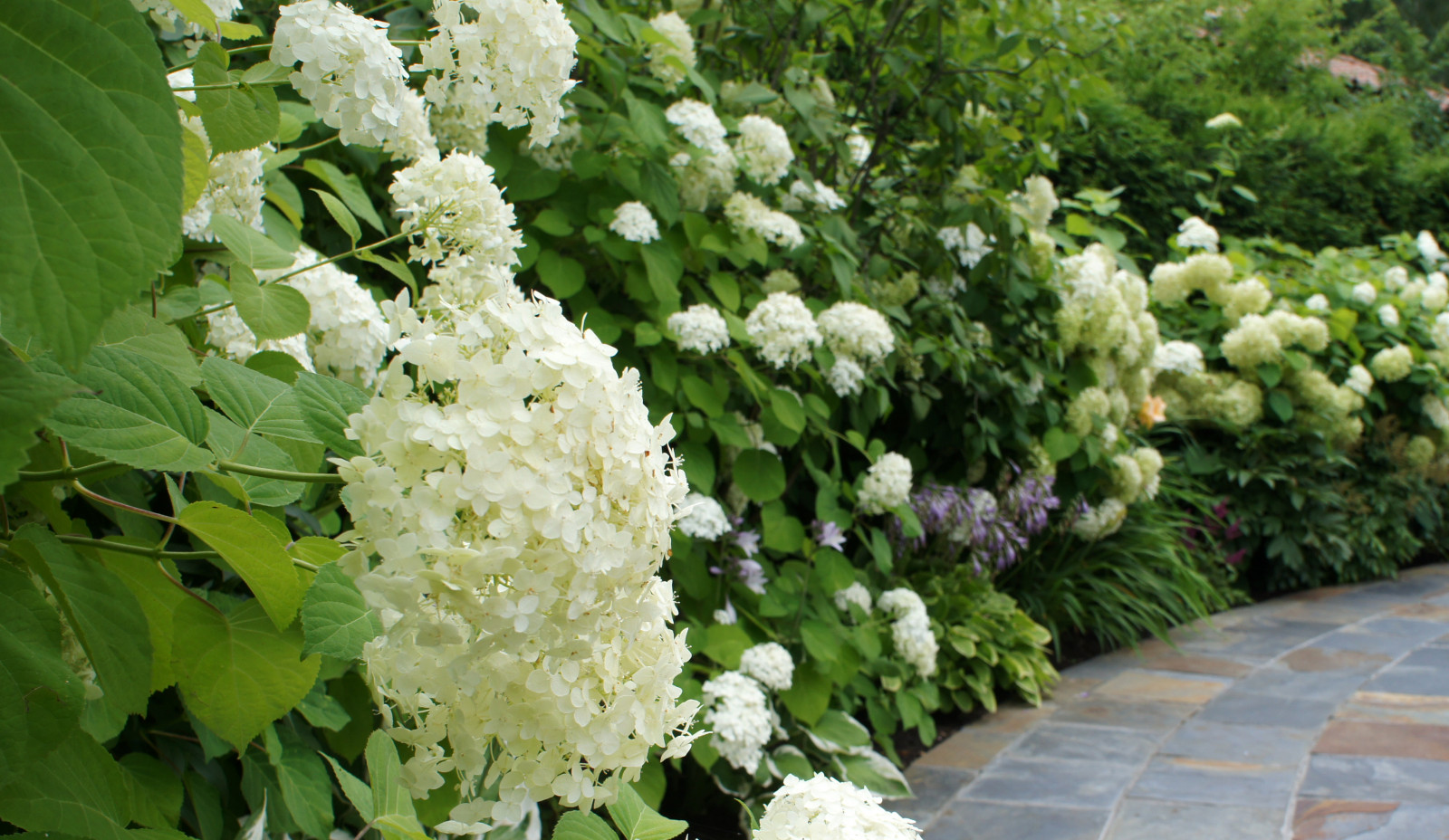 Участок 30 соток