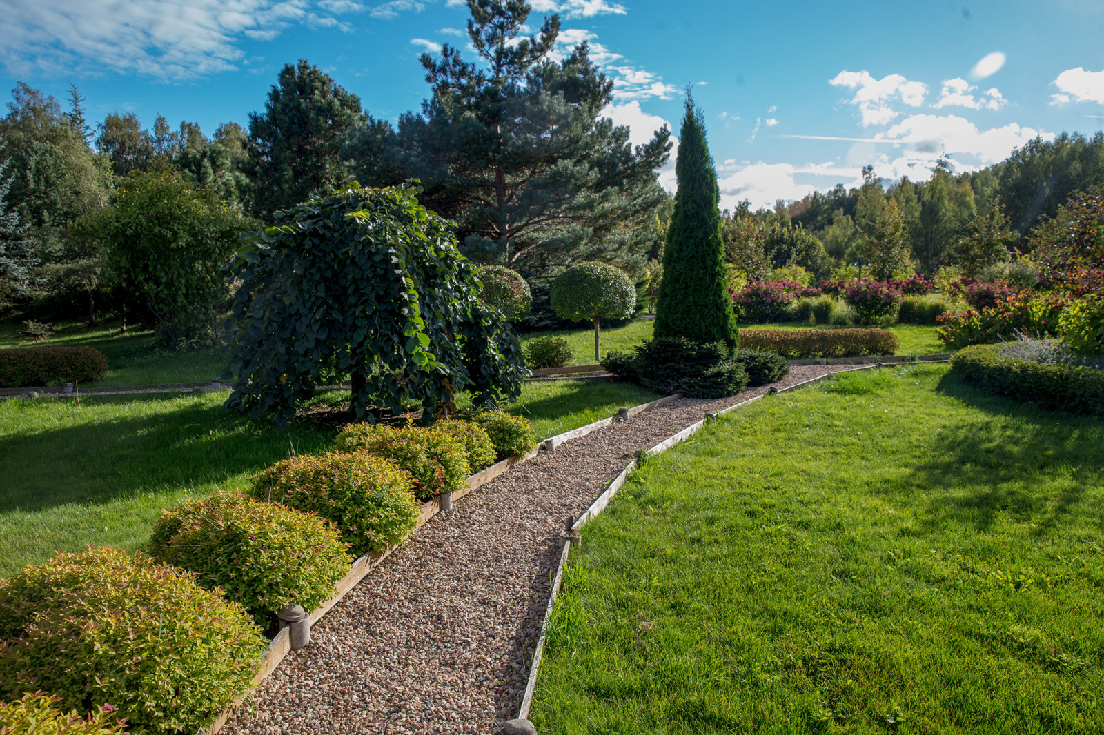Парк в  Шаховском районе