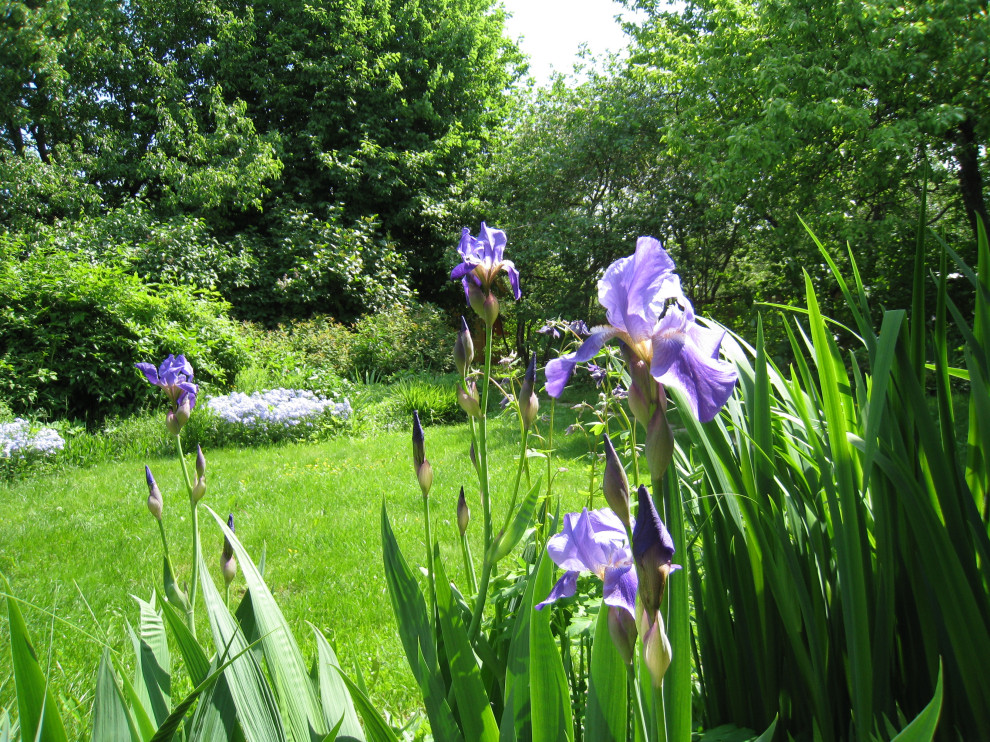 Фотографии моих работ