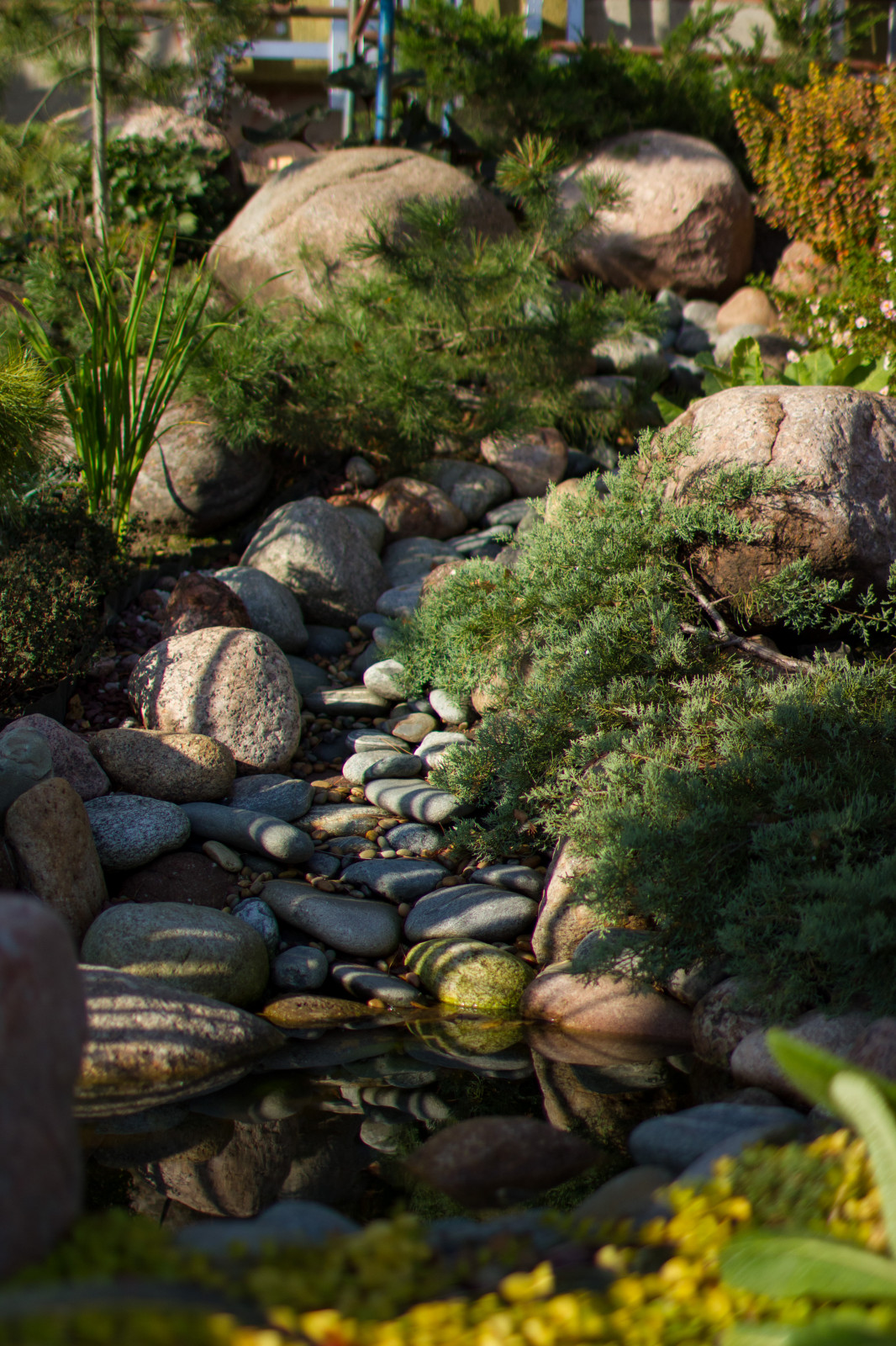 Ландшафтный дизайн