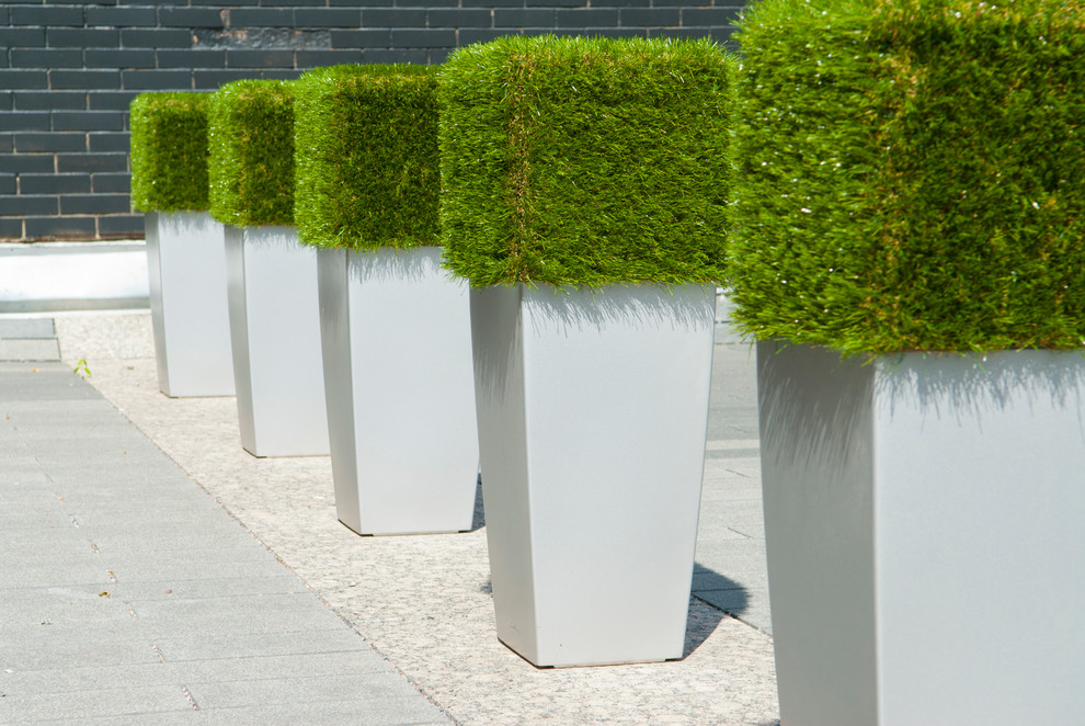 Геометрия в саду