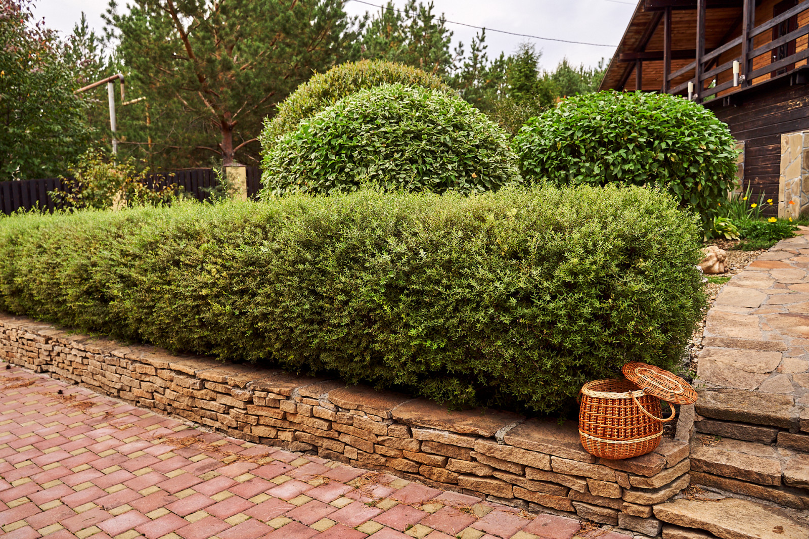 Простор и комфорт загородной жизни