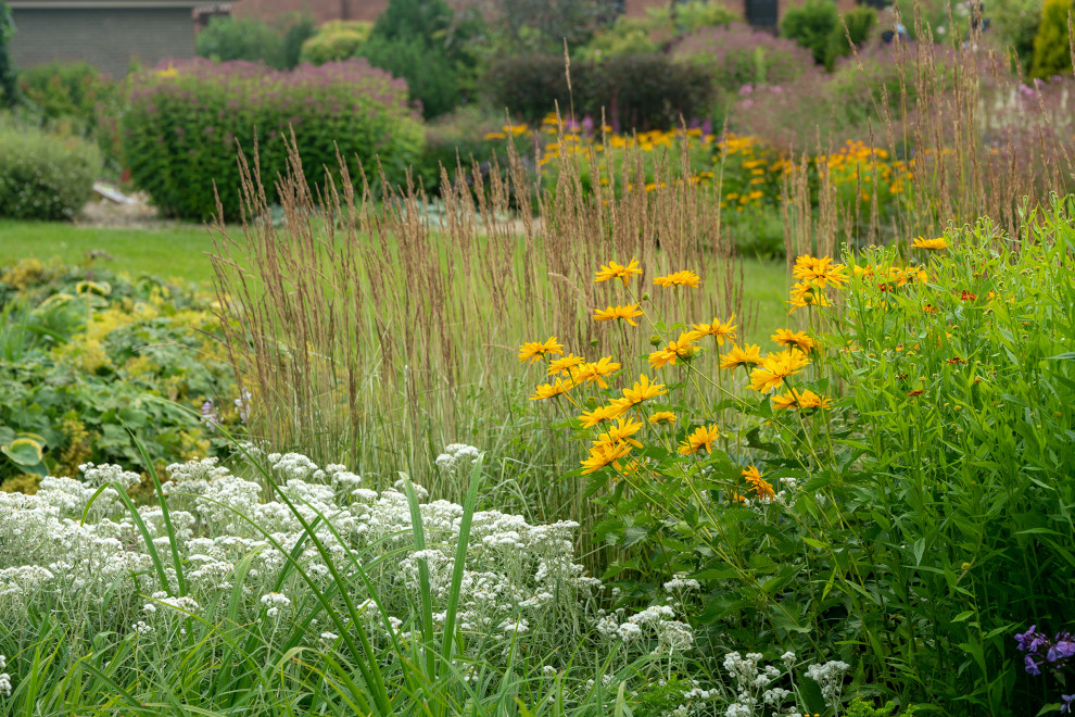 Проект Сада  в "Бельгийской деревне "