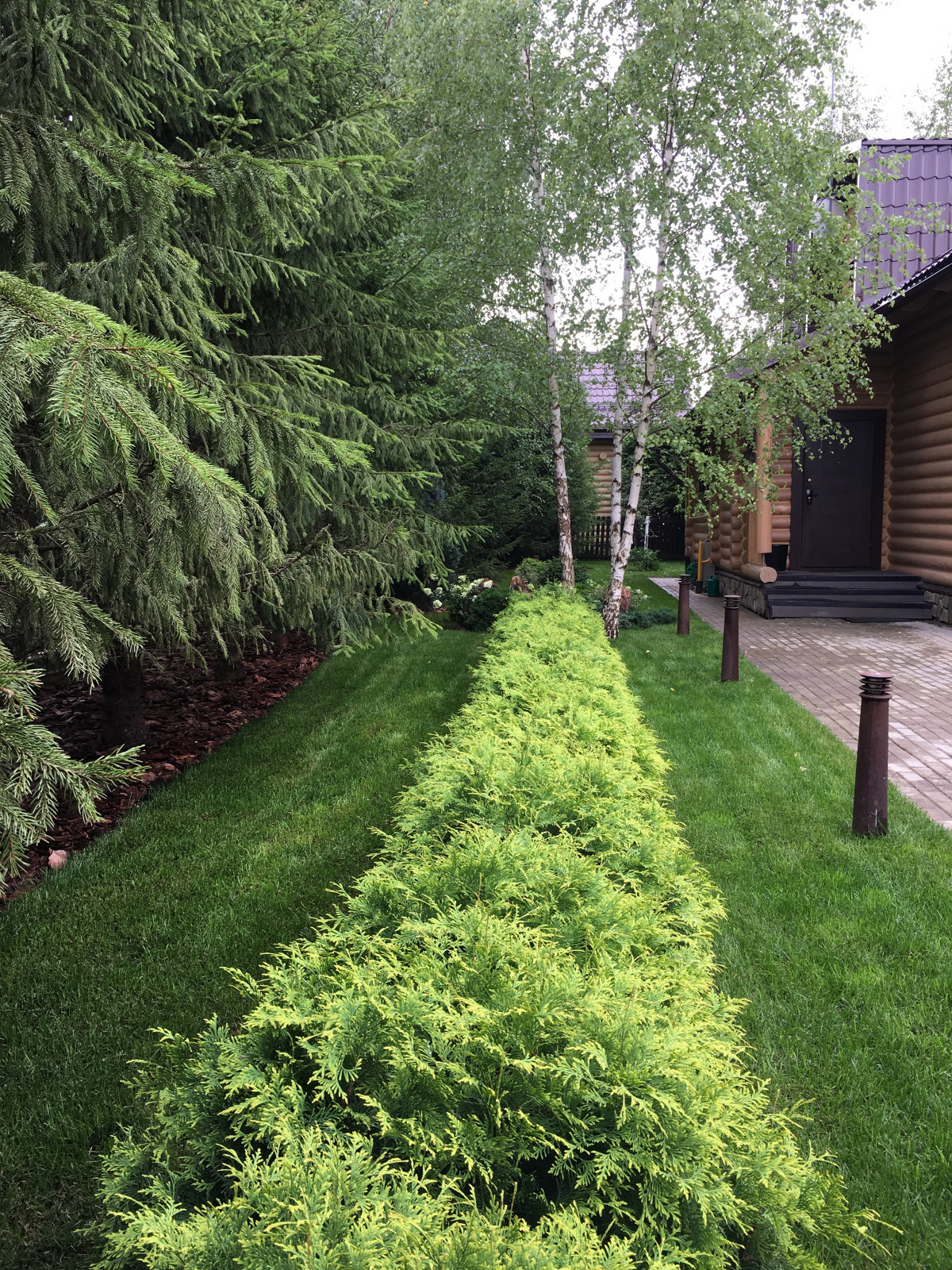 Сад на Новой Риге