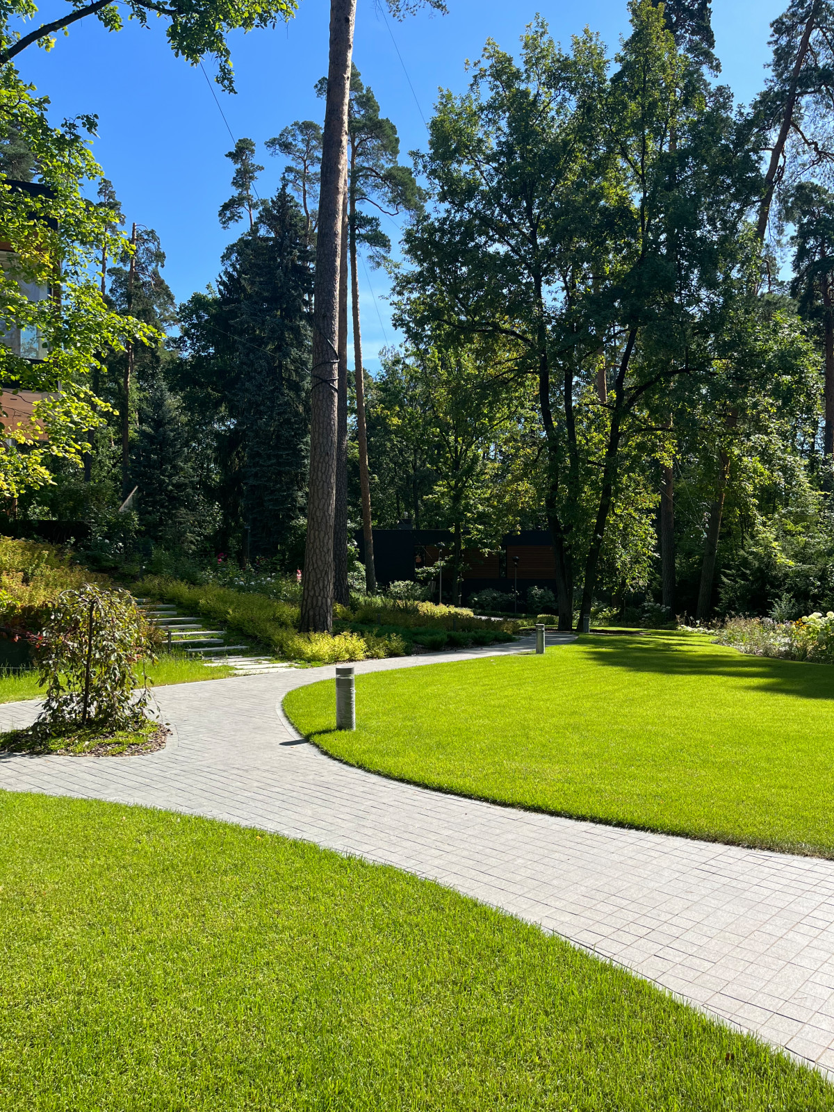 Обложка проекта: Сад «Дачная романтика»