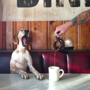 Андрей Елин