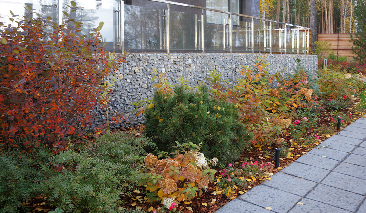 Геометрия в саду