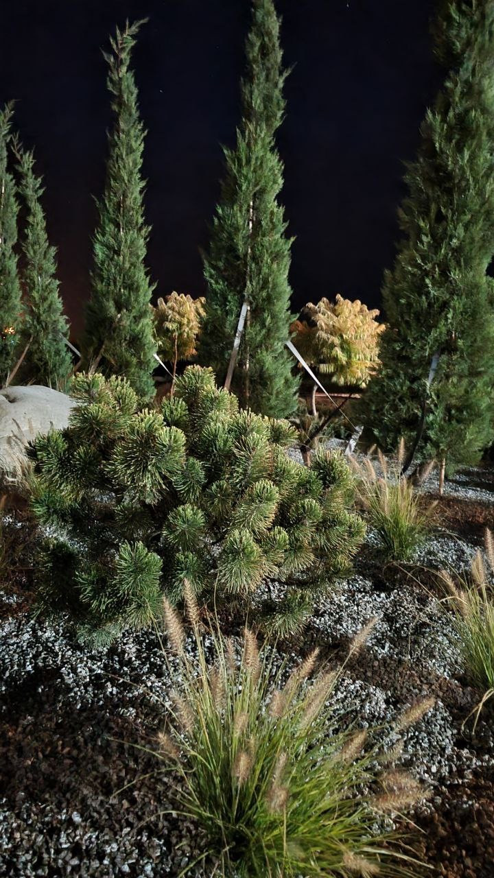 Реализация проекта Сад Реки