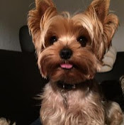 Натали Лазарьянц