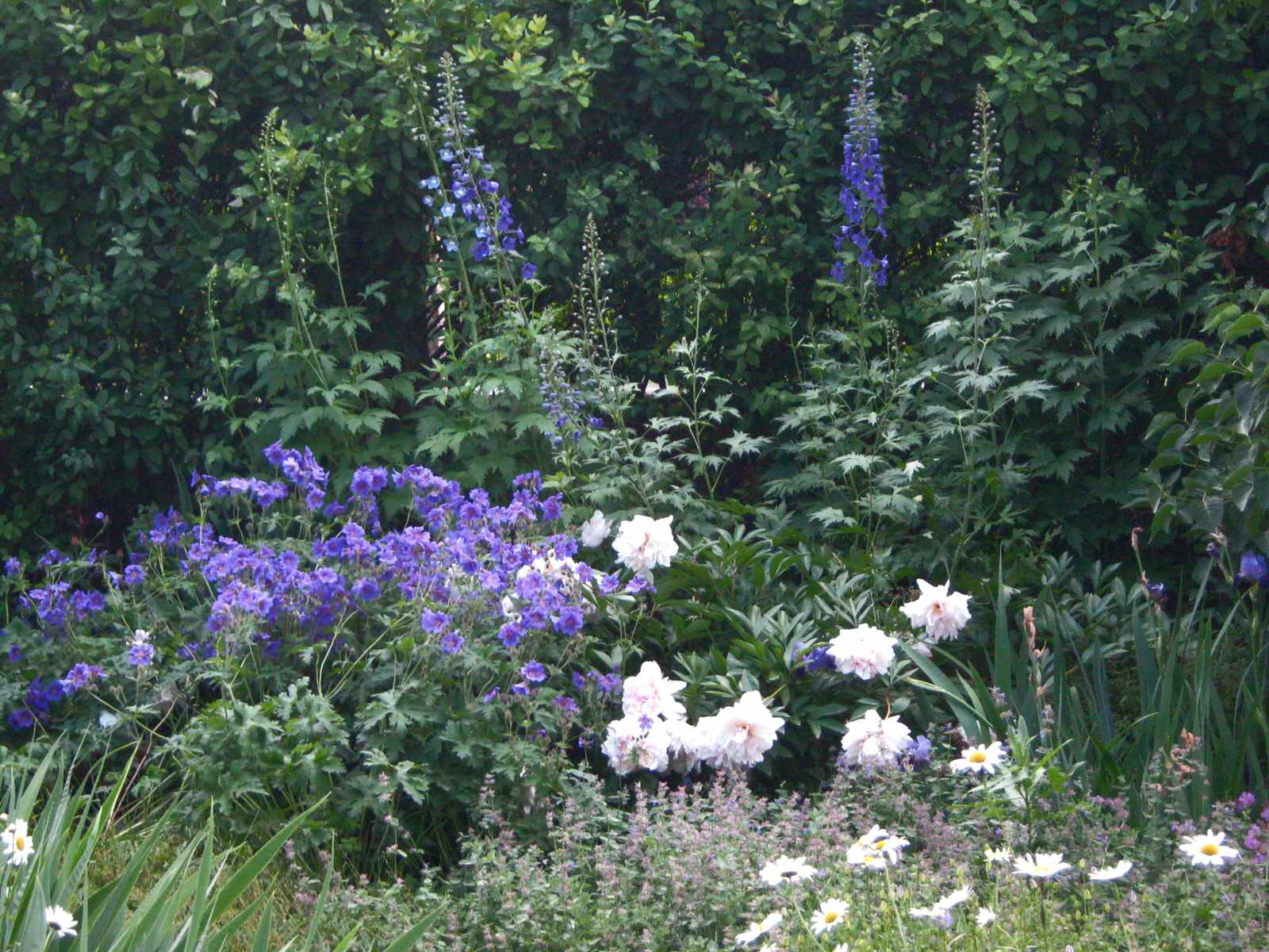 Фотографии моих работ