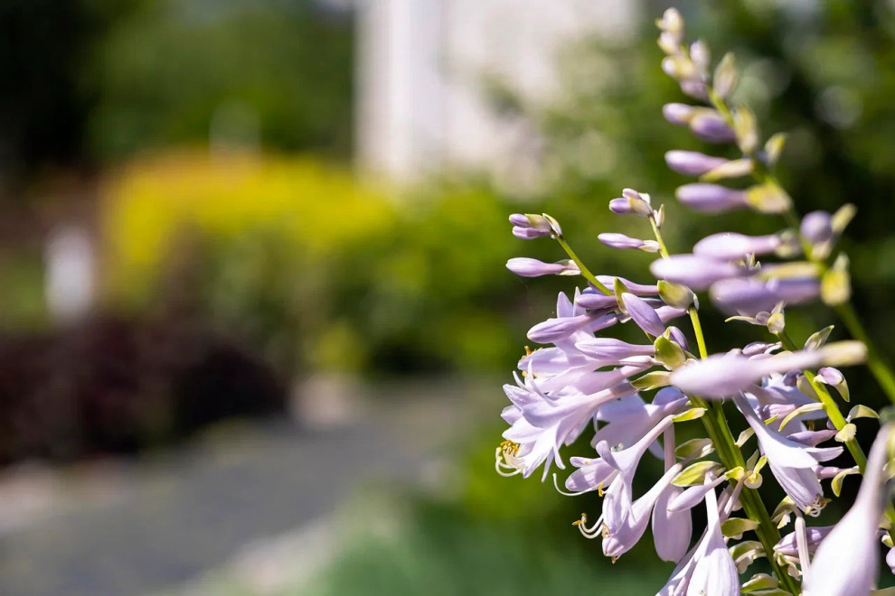 Новосаратовка