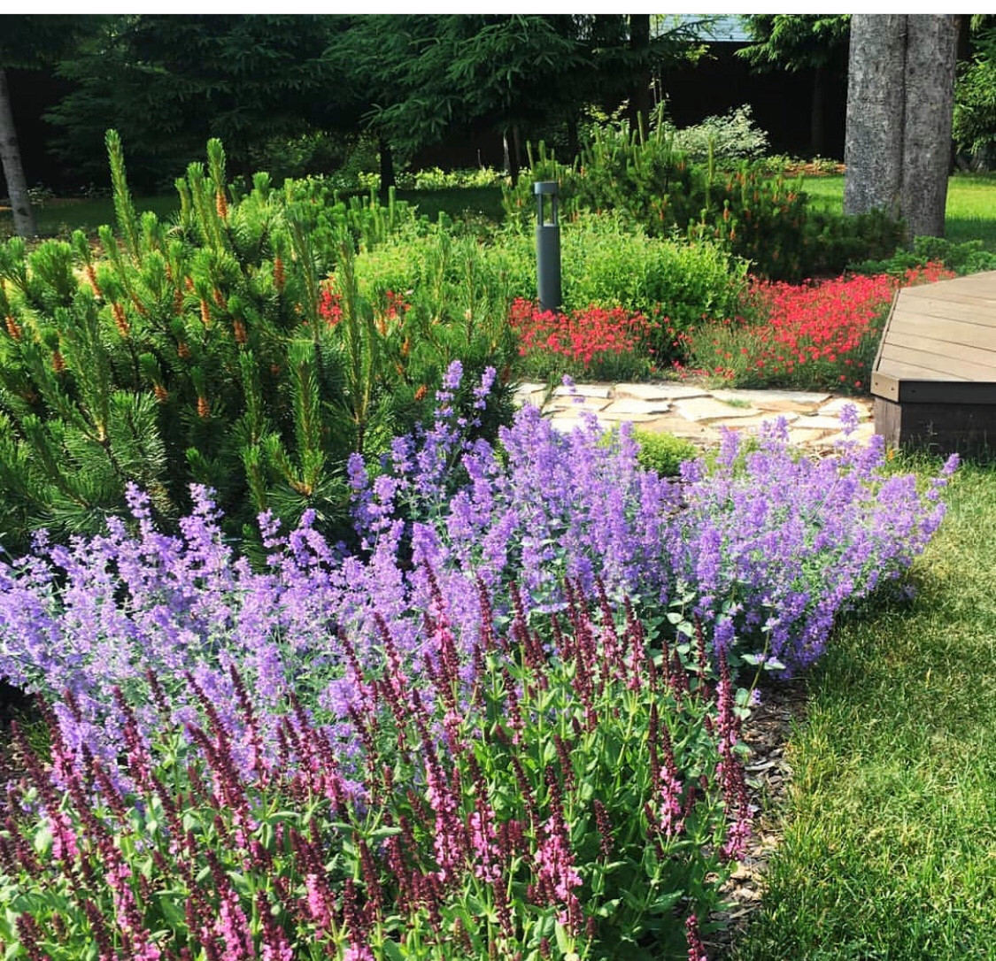 Обложка проекта: Белоостров