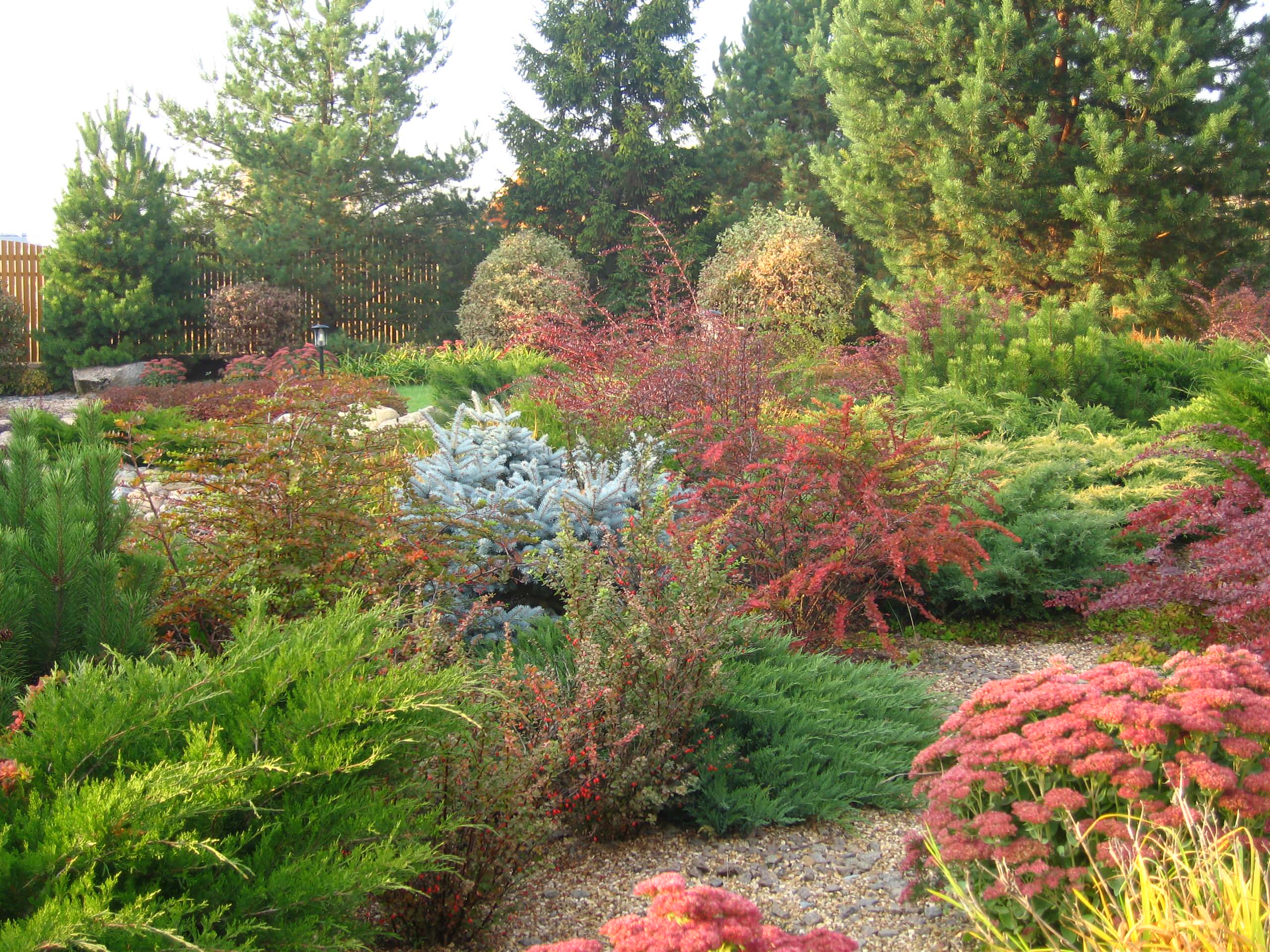 Декоративные кустарники: 12 причин посадить их в своем саду