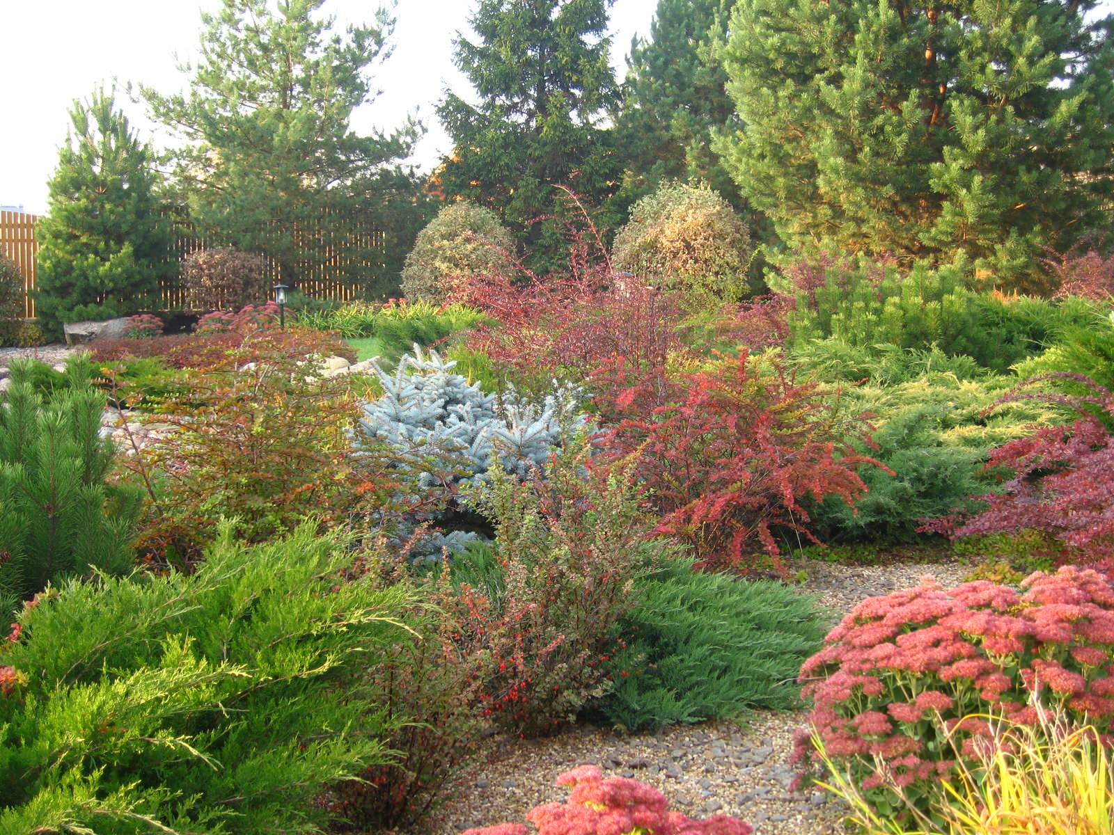 На берегу водоема