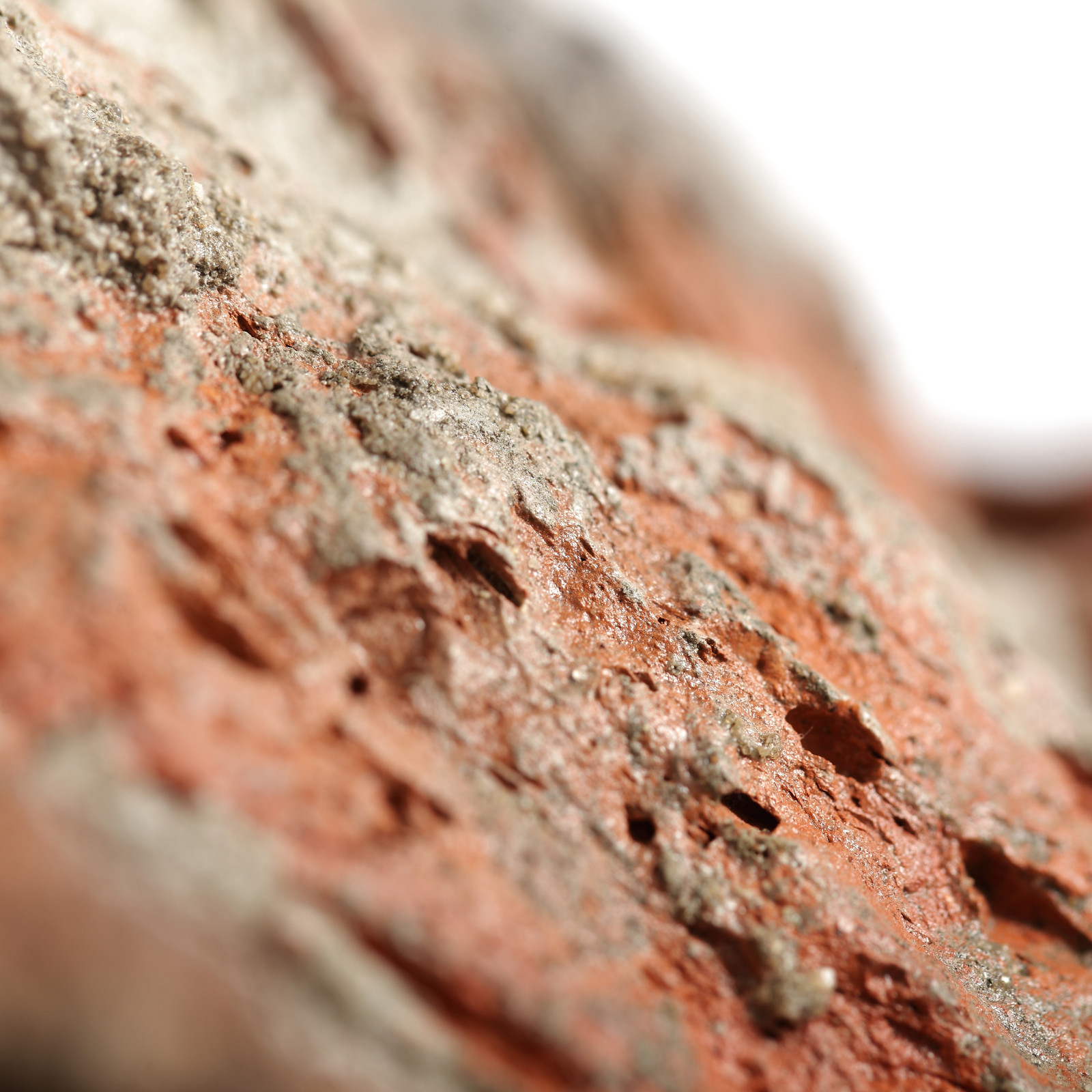 Обложка проекта: Колекция Atli