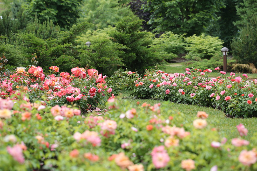 Розарии в садах NB-GARDEN