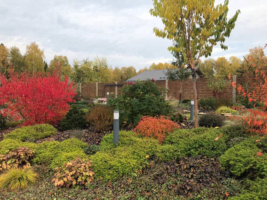 Обложка проекта: ЯГОДНОЕ ЛУКОШКО. ОСЕНЬ 2018