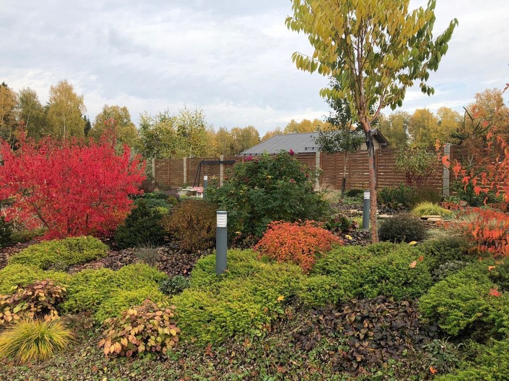 Обложка проекта: ЯГОДНОЕ ЛУКОШКО. ОСЕНЬ 2018