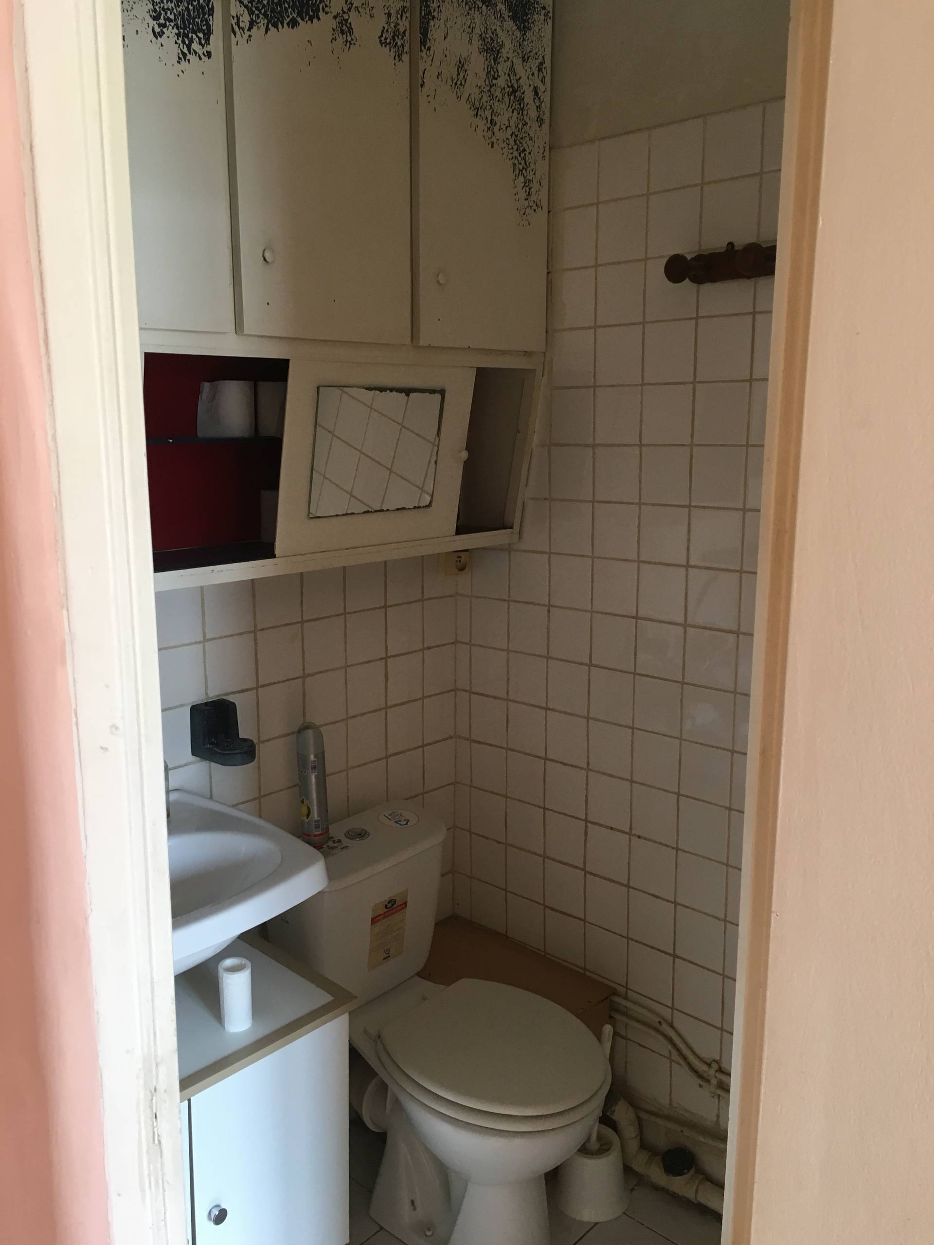 До и после: Переделка парижской квартиры 28 кв.м за три месяца