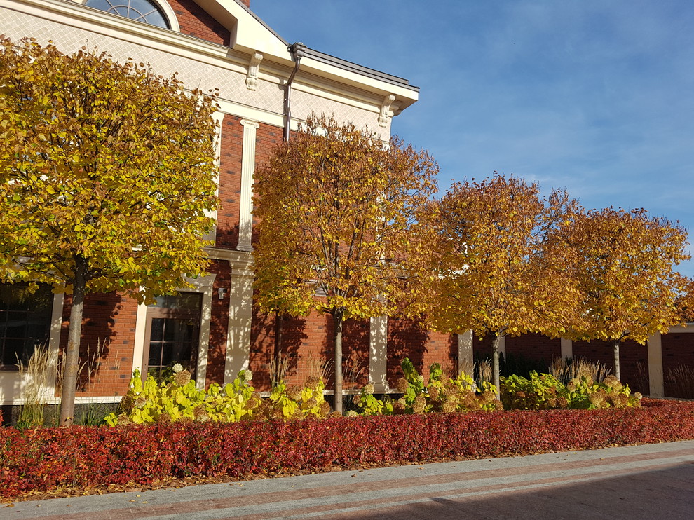 Сад с аурой.Осенние краски.