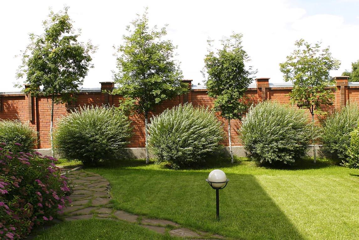 Обложка проекта: Коттеджный поселок «Фирсановка»