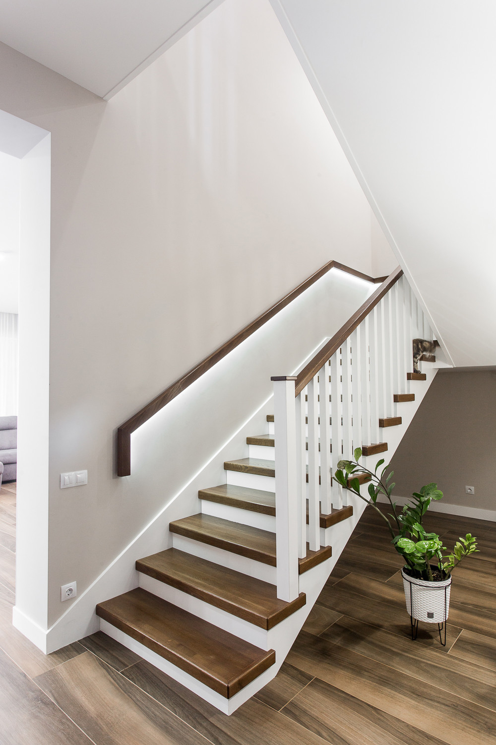 250 кв.м. счастья