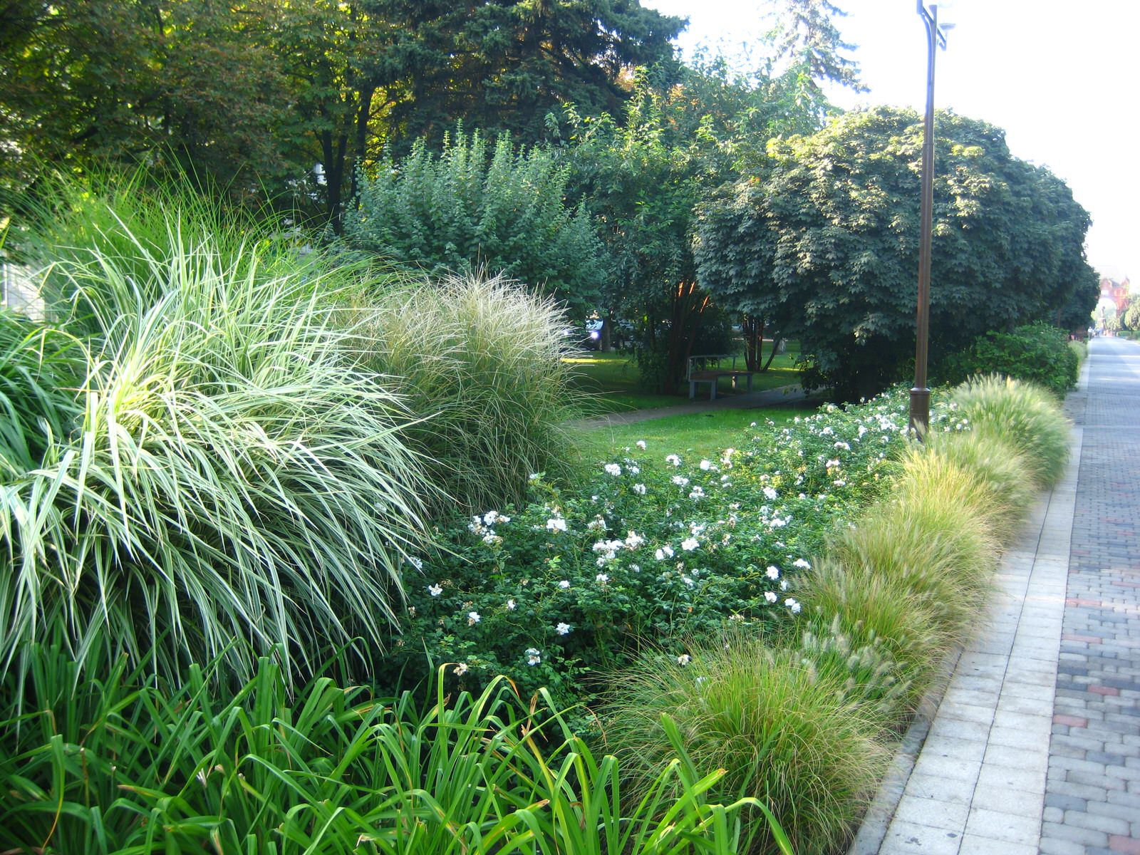 Бульвар на ул. Красной