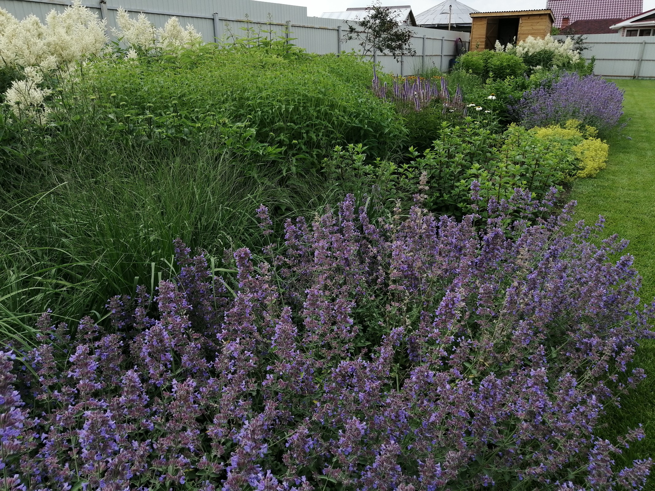 Подмосковный Прованс