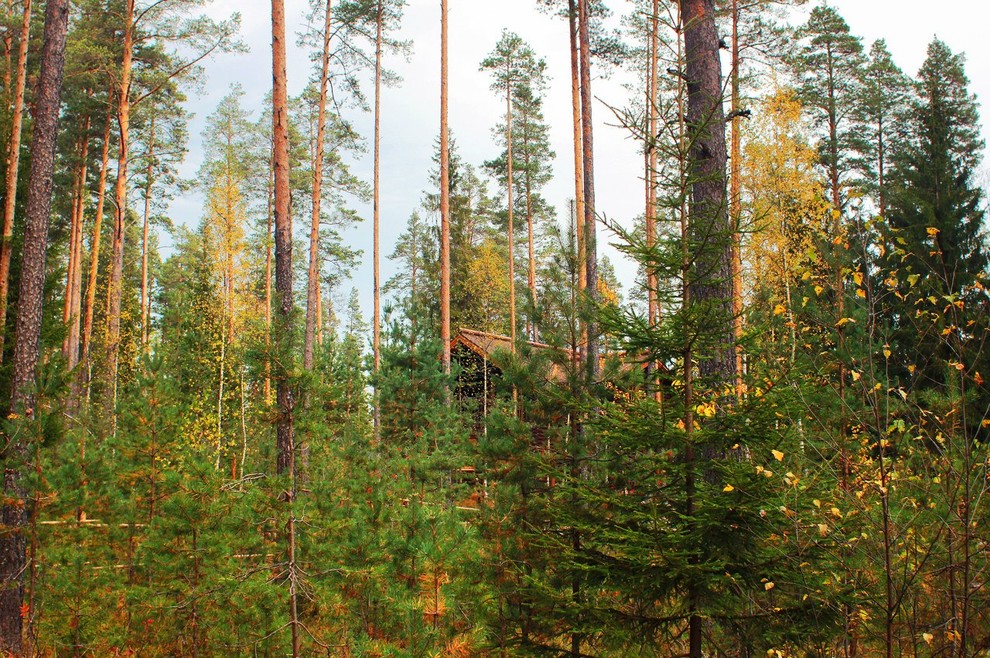 Коттедж "Русская деревня"